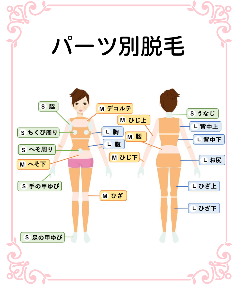 パーツ別脱毛でご自分の悩みに合わせて脱毛プランを考えることができます